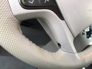 Toyota Sienna XLE AWD